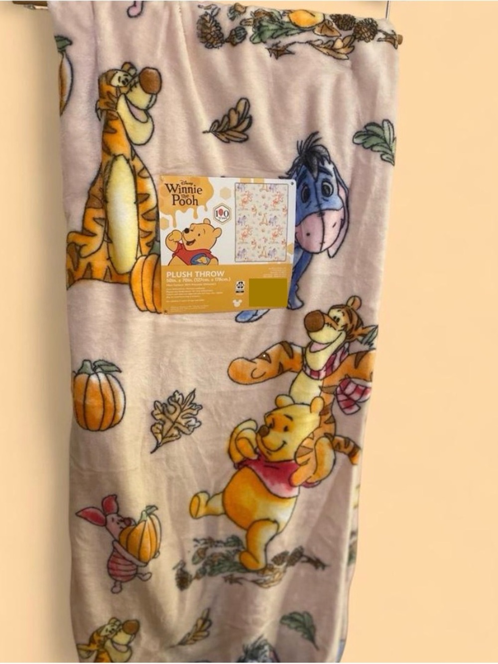 Disney Winnie the Pooh Plush Throw Blanket